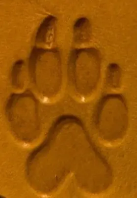 wolf print