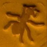 Ant