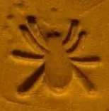 small spider