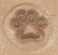 small paw print