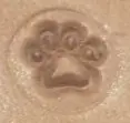 small paw print